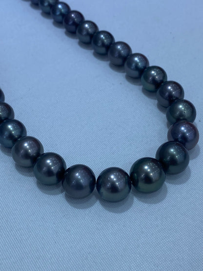 Gray-Green Tahitian Pearl Strand | 12–15mm AAA Grade