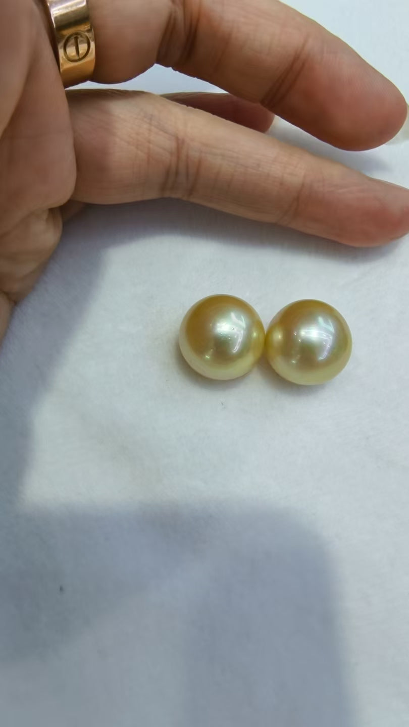 South Sea Golden Matched Pair| 15.3mm AAA Grade