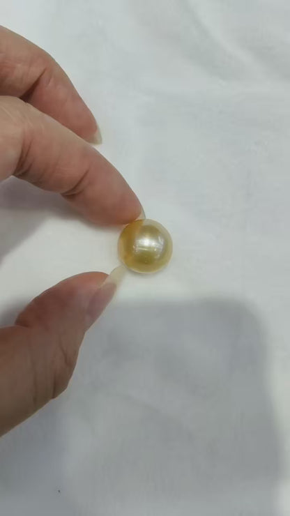 Medium Gold South Sea Golden Pearl | 15.4mm AAA Grade