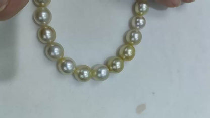 Light Gold South Sea Pearl Loose Strand | 9–12mm AAAA Grade | 37 Pearls per Strand