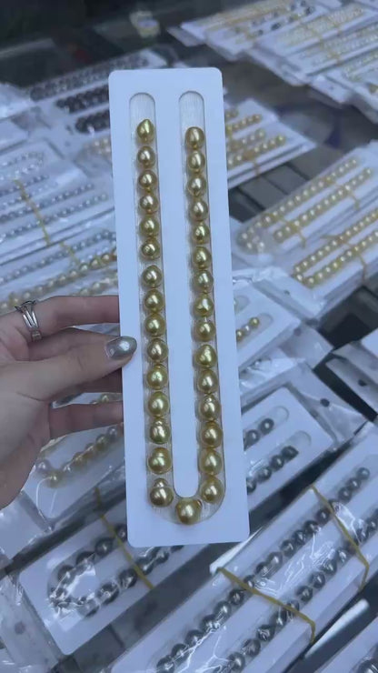 South Sea Golden Loose Pearl Strand | 12–16mm AAA- Grade | Per Strand