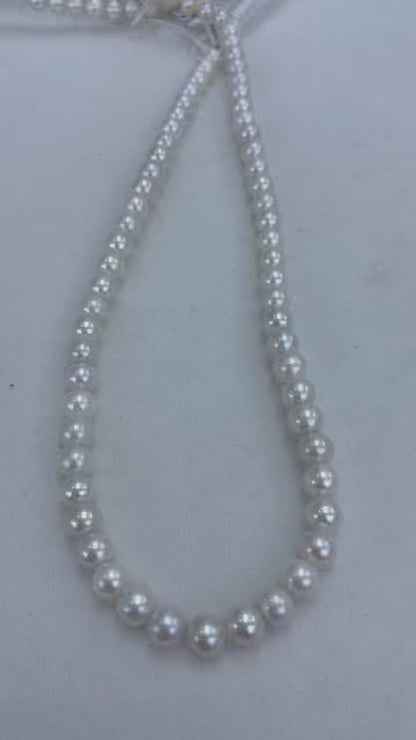 White Freshwater Pearl Strand | 6–8mm AAA Grade