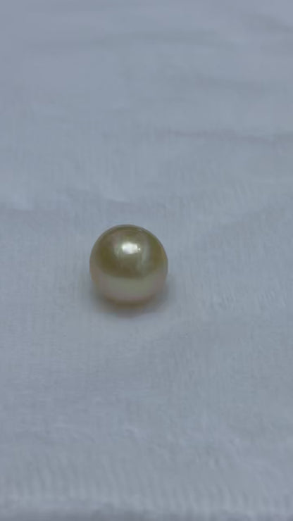 South Sea Golden Baroque Loose Pearl | 11–12mm AAA Grade