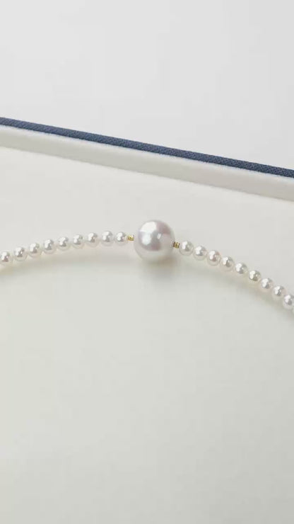 Titanium Steel - White Freshwater Pearl Jewelry | 3–10mm AAA Grade