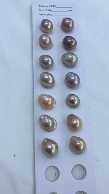 Multi-Color Baroque Freshwater Pearl | 11×15mm AAA Grade