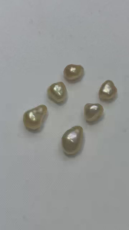 South Sea Golden Keshi Loose Pearl | AAAA Grade