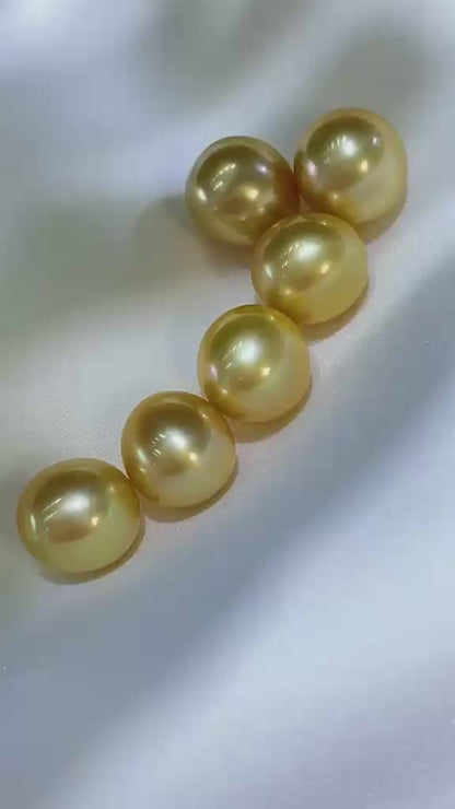 South Sea Golden Loose Pearl | 13–14mm AAAA Grade