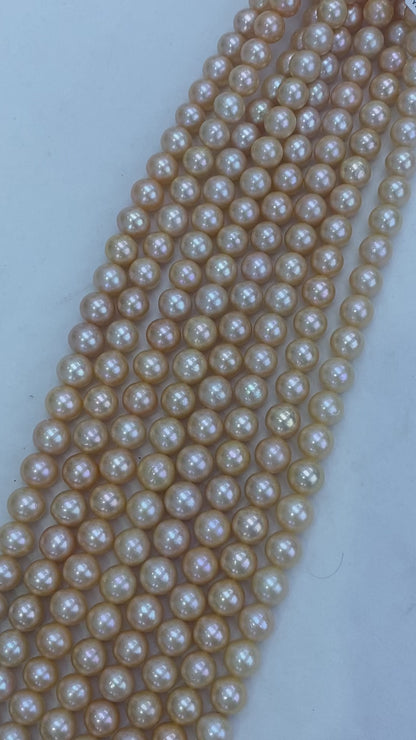 Champagne Freshwater Edison Pearl Strand | 11–13mm AAA Grade