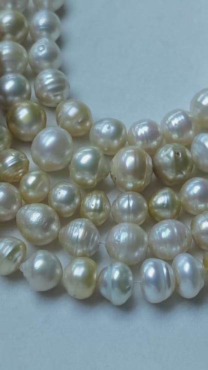Light Golden Saltwater Circled Pearl Strand | 8–12mm AAA+ Grade