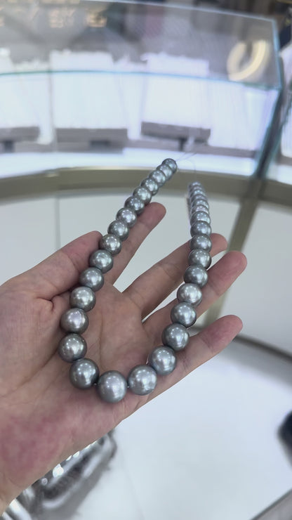 Platinum Grey Tahitian Pearl Strand | 12–13mm AAA Grade