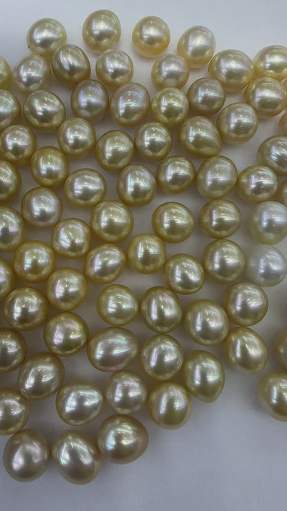 South Sea Golden Pearl Loose Pearls | 11–12mm AAA Grade