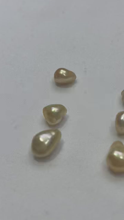 South Sea Golden Keshi Loose Pearl | AAAA Grade
