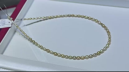 South Sea Golden Keshi Pearl Strand | AAAA Grade